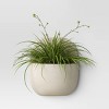 7" Wide Novelty Modern Outdoor Wall Ceramic Planter Pot Ivory - Threshold™ - image 3 of 4