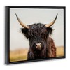 Stupell Industries Black Highland Cow Portrait, 21" x 17" - 3 of 4