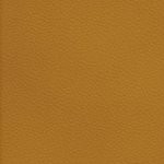 washington commanders