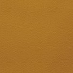 washington commanders