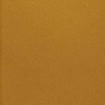 washington commanders