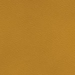 washington commanders