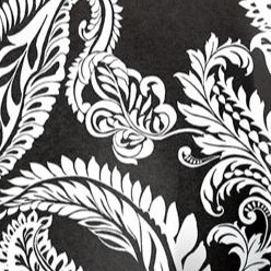 black feather paisley