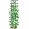 Bean Tower, Heavy Gauge Bean Trellis - Green - Gardener's Supply Company - image 2 of 4