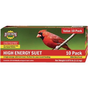 Audubon Park 11 Oz. High Energy Suet (10-Pack) - 1 of 1
