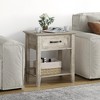Whizmax Nightstand, End Table with Drawer, Side Table for Spaces, 2 Tiers Storage Shelves with Dresser, Bedside Table for Living Room, Bedroom - 3 of 4