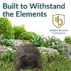 Sunnydaze Indoor/Outdoor Lifelike Large Tanya the Tortoise Patio Garden Yard Entryway Decorative Statue - 20" - 4 of 4