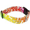 Country Brook Petz HossFit Jr Wide Deluxe Dog Collar - Groovy Collection - 3 of 4