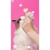 Bonkers Purrpops Halloween Chicken Flavor Freeze-Dried Licks Cat Treats - 5pk - 3 of 3