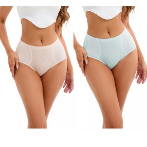 INSPIRE CHIC 2 Pcs Women's High-Waisted Underwear Briefs High Elastic Breathable Underpants - 1 of 4
