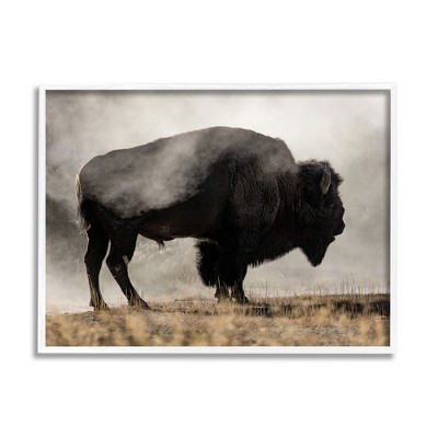 Stupell Industries Powerful Bison Grazing Foggy Rural Pasture Photography Framed Giclee Art