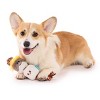 BARK Summer Big Shake Lake 2.5" Tug of Smore Dog Rope Toy - 4 of 4