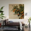 Romana Lilic / LA76 Photography Red Pond in the Baja Desert vol 1 Wood Wall Mural - Society6 - 2 of 2