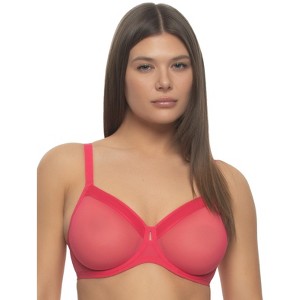 Ethereal Sheer Mesh Unlined Underwire Bra - 1 of 3