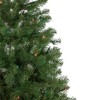 Northlight 6' Pre-Lit Wilson Pine Slim Artificial Christmas Tree, Multi Lights - 4 of 4