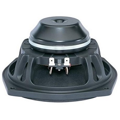 B&C 6.5" NEO MID BASS