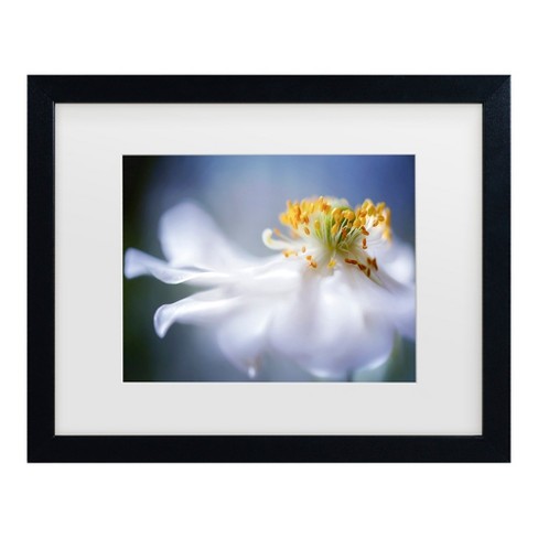 Trademark Fine Art - Mandy Disher Anemone 1 Matted Framed Art - image 1 of 4