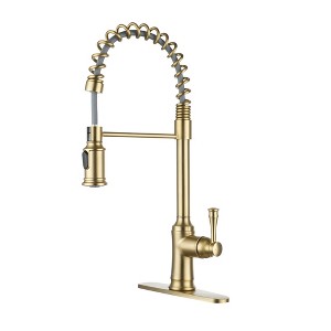 CASAINC Single Handle Kitchen Faucet - 1 of 3