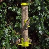 Jacobi Jayne Lime Flo Tube Seed Bird Feeder 4 Port - 2 of 3