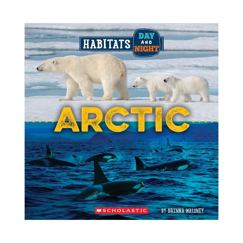 Arctic (Wild World: Habitats Day and Night) - by Brenna Maloney, 1 of 2