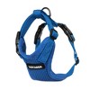 Voyager Step-In Lock Adjustable Dog & Cat Harness and 5ft Leash Combo - 3 of 4