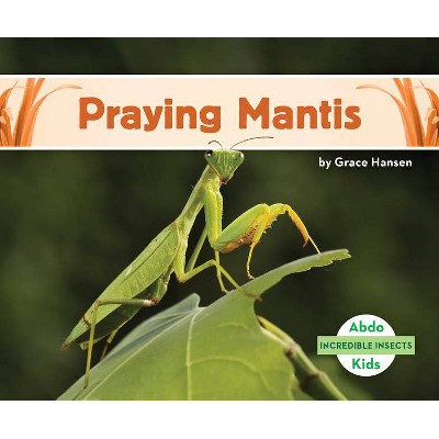 Praying Mantis - (Incredible Insects) by  Grace Hansen (Paperback)