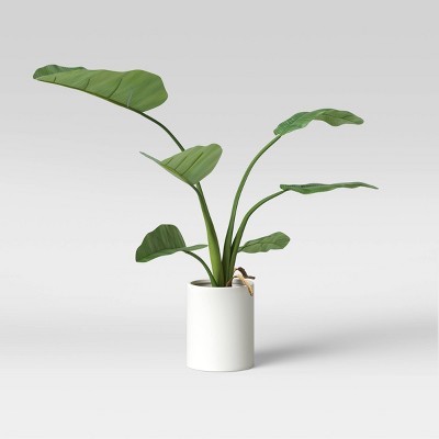 15 x 10 Artificial Fiddle Leaf Plant in Pot - Threshold