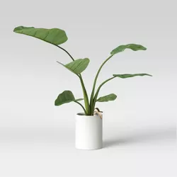 36" x 26" Artificial Travelers Banana Leaf in Pot - Project 62™