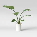 36" x 26" Artificial Travelers Banana Leaf in Pot - Threshold™