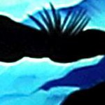 blue palm tree island