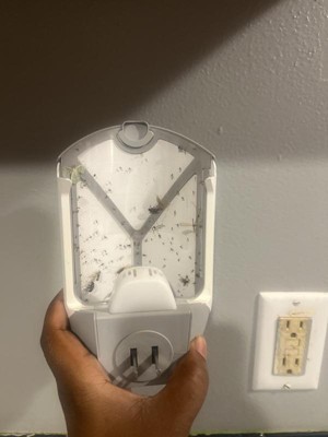 Guest review image 1 of 3, zoom in