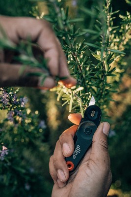 Slice 10495 Every Day Carry (EDC) Folding Knife with Micro Ceramic Safety Blade | Lasts 11x Longer Than Metal