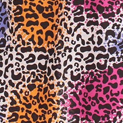 dust - cheetah
