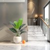 Artificial Bird of Paradise Plant, Lifelike Tall Faux Tropical Tree, Indoor/Outdoor Decorative with Bendable Leaves - 4 of 4
