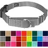 Country Brook Petz Heavy Duty Nylon Martingale Dog Collar with Deluxe Buckle - 30+ Vibrant Color Options - 2 of 4