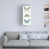 Trademark Fine Art -Lisa Audit 'My Greenhouse Butterflies VI' Canvas Art - 2 of 4