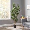 Sapphtopaz Artificial Laurel Tree Artificial Tree Faux Plants Indoor with Natural Wood Trunk, Room Decor for Home, Foyer - 2 of 4