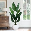 Boersma Artificial Bird of Paradise Plant Fake Banana Leaf Plant for Indoors and Outdoors, Faux Palm Tree with Plastic Pot for Office, 2 Pack - 4 of 4