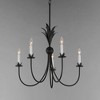 Maxim Lighting Paloma 5 - Light Chandelier in  Anthracite - 4 of 4