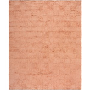 Easy Care ECR222 Machine Washable Hand Tufted Indoor Rugs - Safavieh - 1 of 4