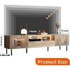 NicBex TV Stand for 80 Inch TV with 2 Cabinets,TV Entertainment Center with Transparent Acrylic Doors,TV Console Table for Living Room - 3 of 4