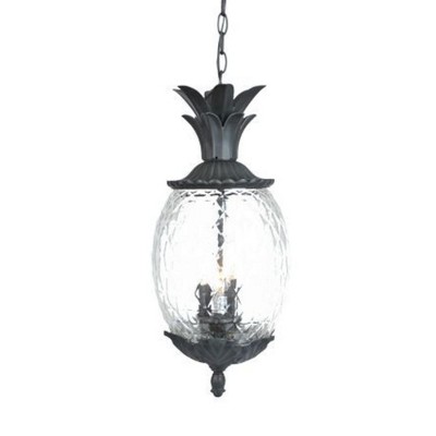 Acclaim Lighting Lanai 3 - Light Pendant in  Matte Black