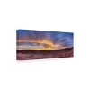 Trademark Fine Art -Moises Levy 'Fire Clean' Canvas Art - 4 of 4