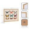 Kate & Laurel All Things Decor 16"x12" Gallery Vintage Style Muted Pastel Butterflies II Print by The Creative Bunch Studio Natural - 3 of 4