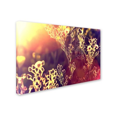 Trademark Fine Art -Beata Czyzowska Young 'Painting with Light' Canvas Art