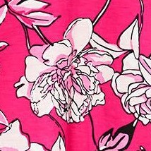 raspberry sorbet floral