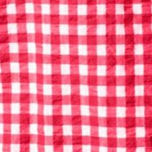 vivid red gingham