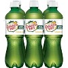 Canada Dry Zero Sugar Ginger Ale Soda Bottles - 6pk/16.9 fl oz - image 2 of 4