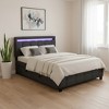 HomeRoots Black Tufted Upholstered Lighted Queen Bed Frame With Trundle And USB And Drawers - 2 of 4