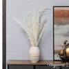 Uniquewise Preserved Real Floral Stems Chic Vase Fillers & Accents for Bouquets Centerpieces - 2 of 4